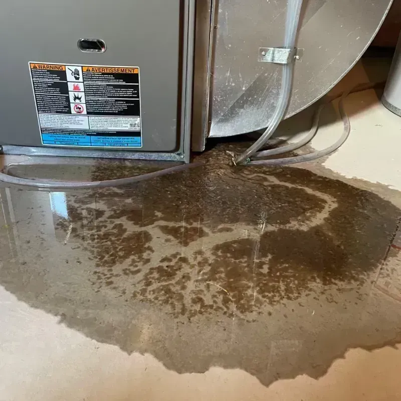 Appliance Leak Cleanup in Boonville, MO